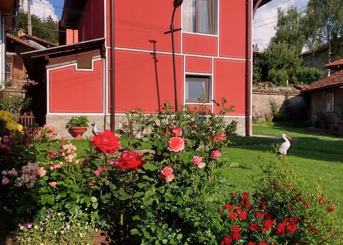 за гости симона קופריבשטיצה